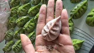 青汁水饺的做法步骤:4