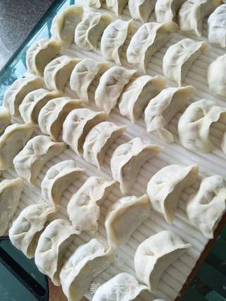 韭菜鸡蛋虾米饺子的做法步骤:10