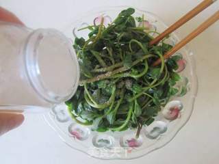 凉拌马齿苋的做法步骤:4