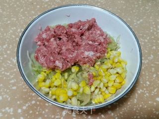猪肉西瓜皮馅饺子的做法步骤:7