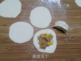 猪肉西瓜皮馅饺子的做法步骤:10
