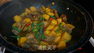 土豆烧排骨的做法步骤:16