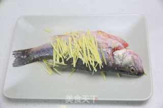 迪奥格斯食谱之清蒸鲈鱼的做法步骤:5
