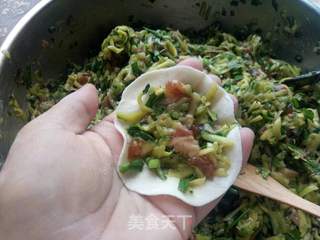 喇瓜水饺（南瓜水饺）的做法步骤：15