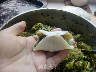 喇瓜水饺（南瓜水饺）的做法步骤：16