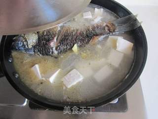 鲫鱼豆腐汤的做法步骤:7