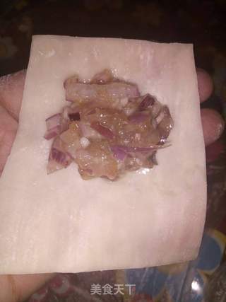 洋葱馄饨的做法步骤:6