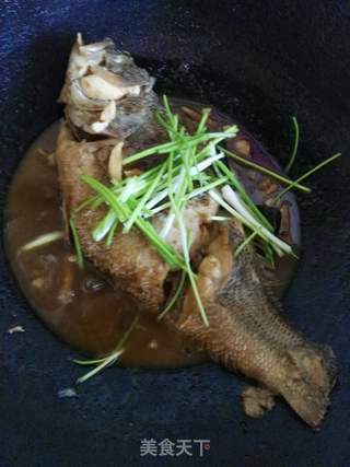 红烧鲈鱼的做法步骤:13