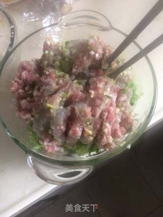 芹菜虾仁猪肉馄饨的做法步骤:2