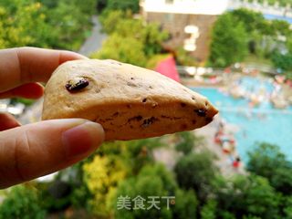 蔓越莓司康的做法步骤:16