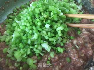 猪肉芹菜水饺的做法步骤:4