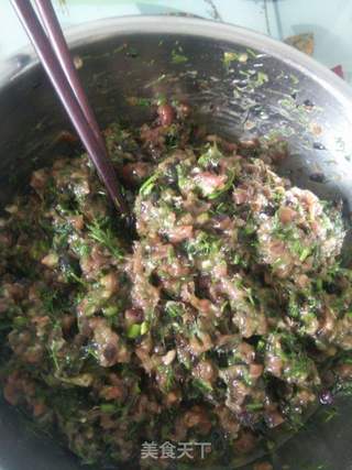 茴香牛肉煎饺的做法步骤:2