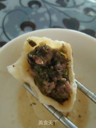 茴香牛肉煎饺的做法步骤:6