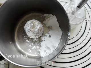 广式蛋黄月饼的做法步骤:10