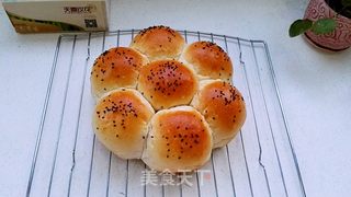 无油花生酱面包的做法步骤:18