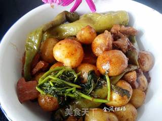 东北酱土豆的做法步骤:10