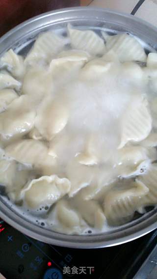 猪肉韭菜白菜馅饺子的做法步骤:10