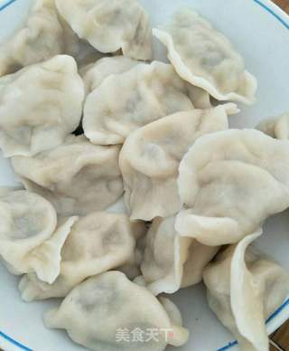 猪肉韭菜白菜馅饺子的做法步骤:11