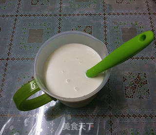 自制醇滑酸奶的做法步骤:6
