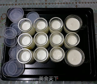 自制醇滑酸奶的做法步骤:7