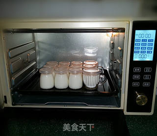 自制醇滑酸奶的做法步骤:9
