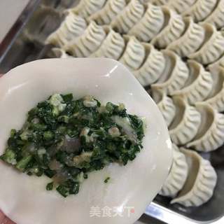 包饺子(猪肉油渣韭菜饺)的做法步骤:7