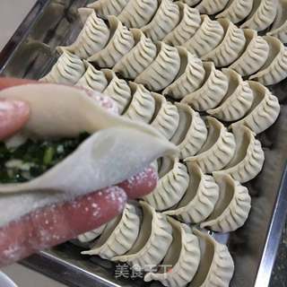 包饺子(猪肉油渣韭菜饺)的做法步骤:8