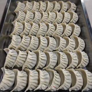 包饺子(猪肉油渣韭菜饺)的做法步骤:13