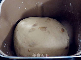 外刚内柔的早餐面包。【全麦红糖桂圆面包】的做法步骤:5
