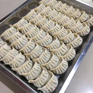 包饺子(猪肉油渣韭菜饺)的做法步骤:12