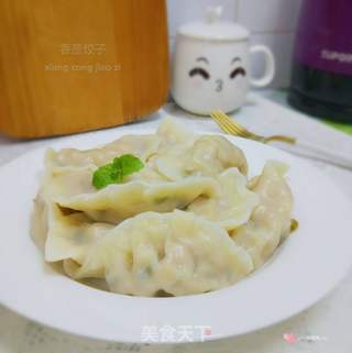 香葱饺子的做法步骤：8