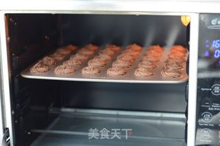 可可曲奇饼干的做法步骤:9
