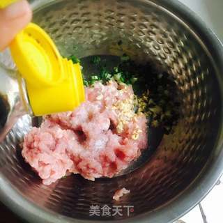 白菜猪肉饺子(附切法和包法)的做法步骤:3