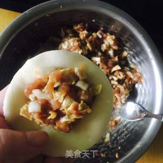 白菜猪肉饺子(附切法和包法)的做法步骤:5