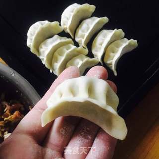 白菜猪肉饺子(附切法和包法）的做法步骤：7