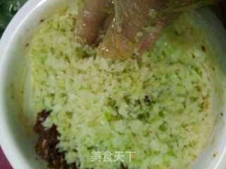 牛肉萝卜饺子的做法步骤:6