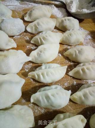 牛肉萝卜饺子的做法步骤:9