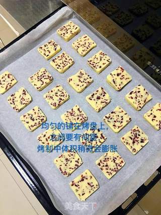 蔓越莓饼干的做法步骤:10