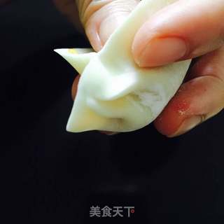 白菜猪肉饺子(附切法和包法)的做法步骤:10