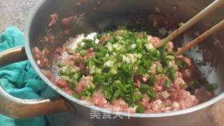 白菜猪肉包的做法步骤:6
