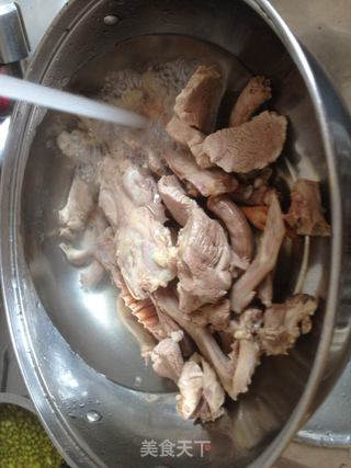 陈皮绿豆鸽子汤的做法步骤:4
