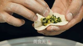 韭菜鸡蛋水饺的做法步骤:9