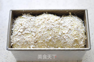 燕麦吐司面包的做法步骤:10