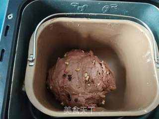 可可巧克力核桃面包的做法步骤:10