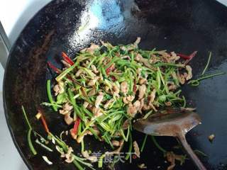香辣肉丝的做法步骤:14