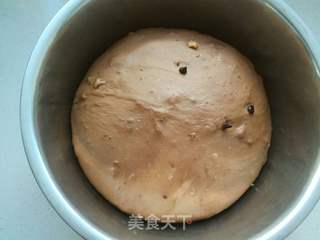 可可巧克力核桃面包的做法步骤:12
