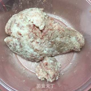 猪肉香菇粉条包的做法步骤:4
