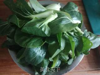 小油菜猪骨汤的做法步骤:9