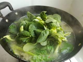 小油菜猪骨汤的做法步骤:10