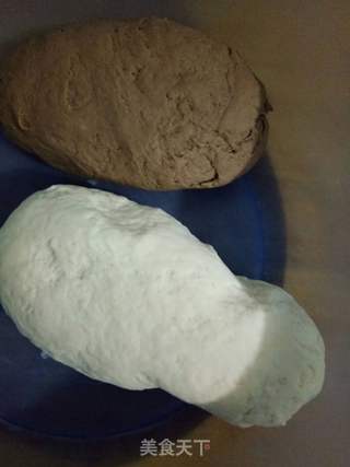 可可粉馒头的做法步骤:4